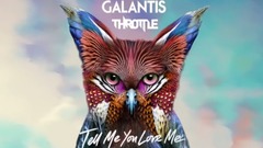 Galantis - Tell Me You Love Me