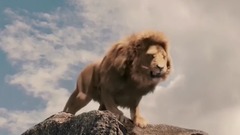 The Lion King Reborn