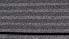 PRISTIN Mini Fan Meeting Behind