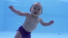 婴儿们潜水的样子 超可爱