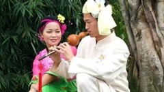 月光下的凤尾竹