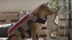 #谁伴我闯荡#江湖啊江湖