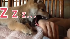 长大这件事是否很容易被遗忘呢