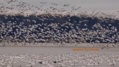 Alexander Tarasov - Autumn Day