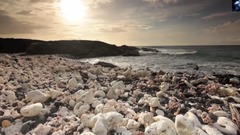 D.I.M.A - Безмятежность (Serenity)