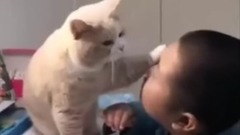 喵:作业重要还是我重要