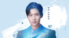 魏晨 - 星辰大海是你