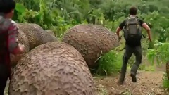 地心历险记2 神秘岛