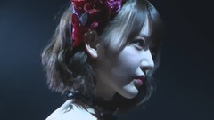 おしべとめしべと夜の蝶々