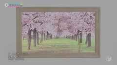 三森铃子 - エガオノキミへ