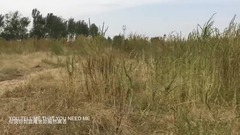 珍惜缘份Apologize道歉