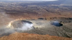 地球脉动神奇动物