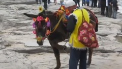 喝不尽黄河这壶酒