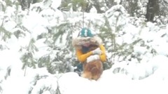 А снег не знал и падал