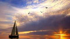 蔡可荔 - 自由自在