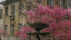 西南大学MV西风系列之一