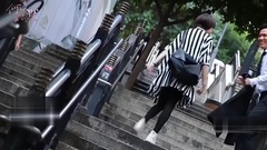 韩国花式虐狗即将开启