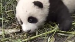 人と自然のパノラマ