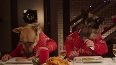 Freshpet Holiday Feast - 13 Dogs and 1 Cat Eating with Human Hands