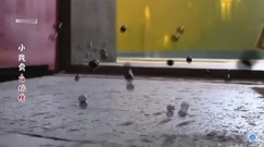 <小戏骨白蛇传>1-5话完整版_14