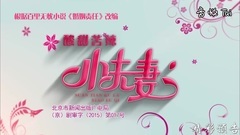 电视剧<酸甜苦辣小夫妻>35集预告片