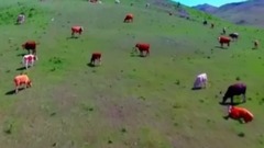 梦回草原系列之<共话中蒙情同筑中国梦>