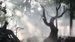 奇门遁甲 预告片 来把大的特辑