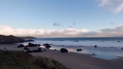 见字如面,我喜欢你