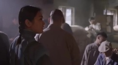 电视剧<爱人同志>第28集预告-革命同志仓库诉理想