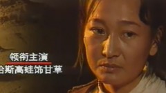 电视剧<老旦是一棵树>片头曲