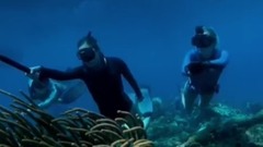 这就是你的时刻