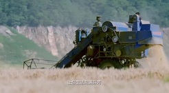 电视剧<梦想越走越近>第37集预告-云鹏踩着收割机去解救文秀