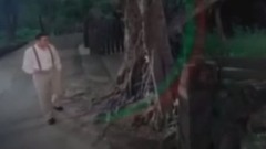 龙千玉-风中的玫瑰