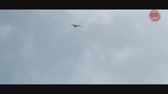 超级英雄着陆TOP8