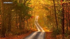 Lamar Starzz - The Autumn Leaves(秋叶)