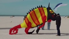 佛罗里达州 金银岛风筝节