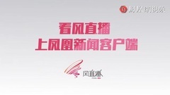 苏炳添大婚,这狗粮我吃!