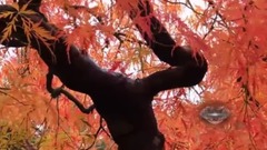 一千个理由爱你