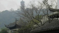 小黎的传说作品选(九)