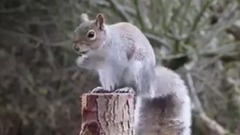 As Graciosidades Vindas De Deus