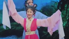 史上最美仙女王丽坤 惊艳全场