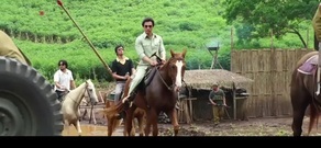 [追龙]双雄特辑 甄子丹刘德华兄弟反目成仇