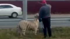 【战斗民族】伏特加文化下的宠物 (第三集)