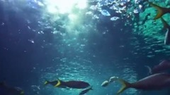 伞下雨停的午后