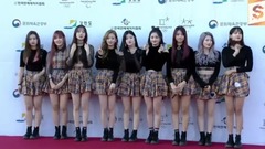 2017梦幻音乐会红地毯