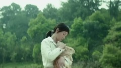 电影<明月几时有>定档7月1日 许鞍华揭开香江抗日传奇史诗