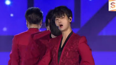 桃源境 - 2017平昌梦想演唱会现场版 17/11/04