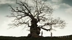 Young and beautiful 饭制版