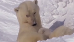 Enigma - Temple Of Love (HD)