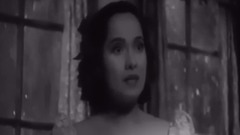 呼啸山庄 女导演的诗性表达 青梅竹马、至死不渝的爱情